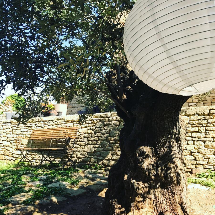 Tour Sarrazine De Montaren住宿加早餐旅馆 外观 照片